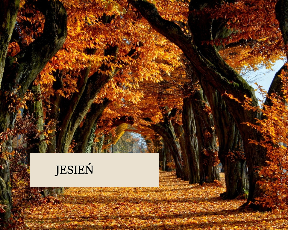 jesien.jpg